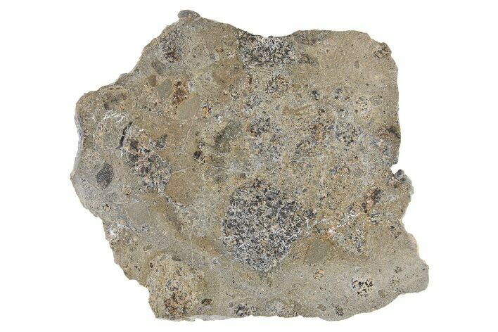 Eucrite Meteorite Slice ( g) - Jikharra #296001
